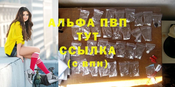 эйфоретик Магас