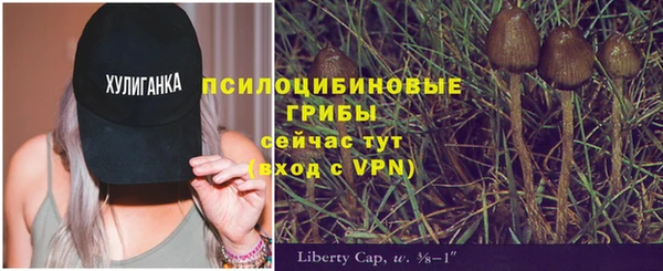 ECSTASY Алзамай