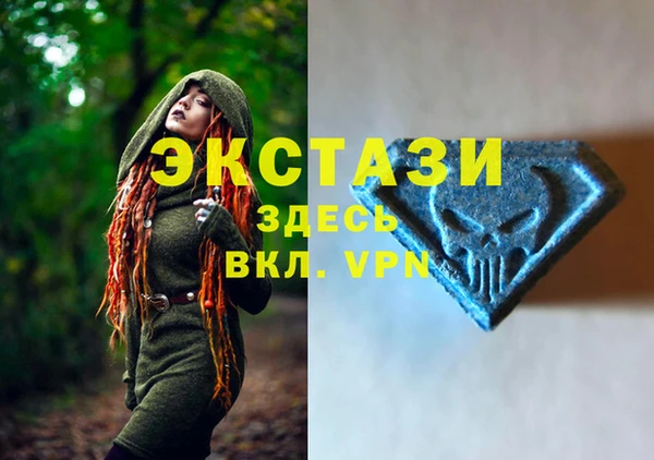 ECSTASY Алзамай